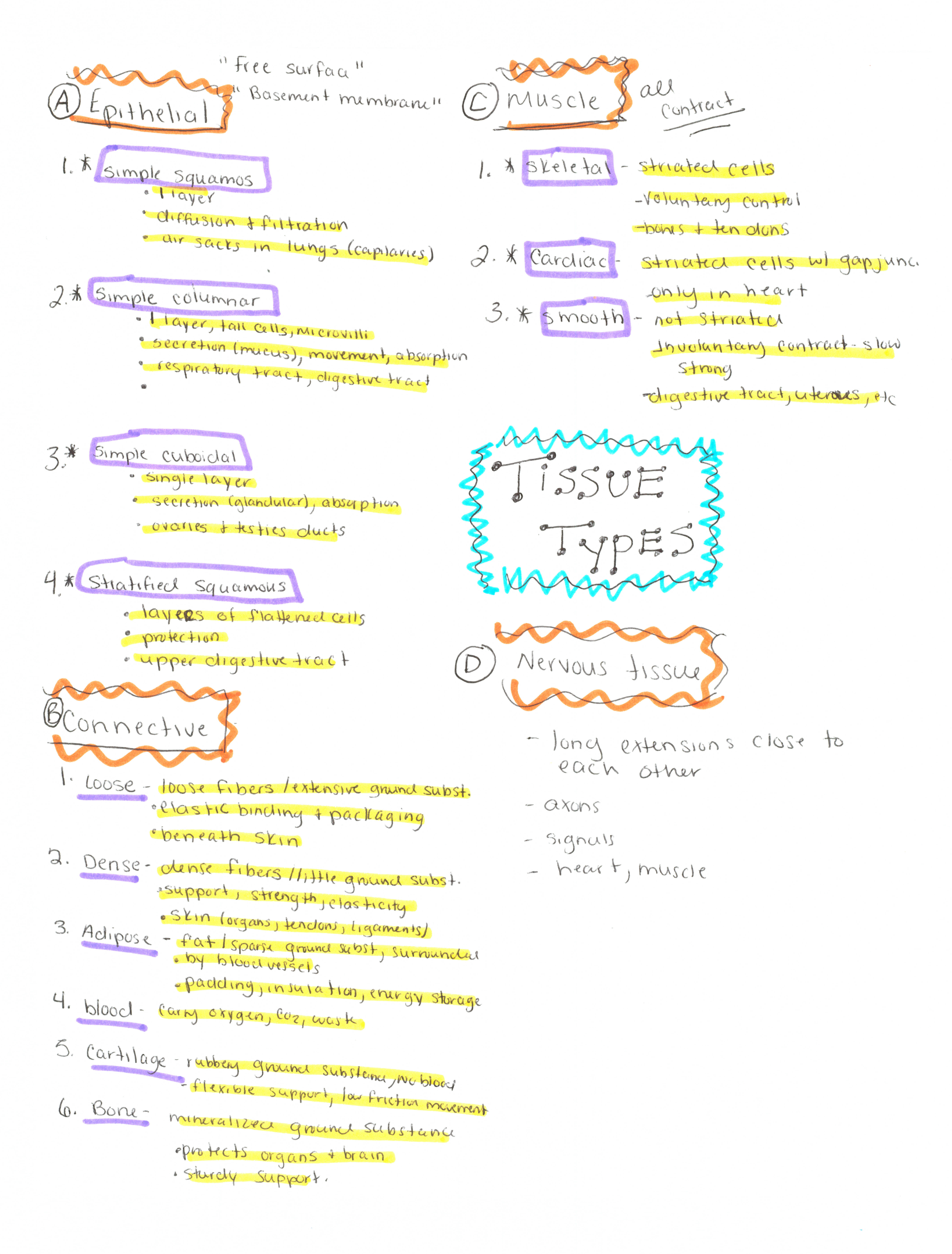 conceptmap5.png